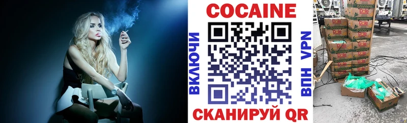 купить закладку  Верхний Уфалей  Cocaine Эквадор 