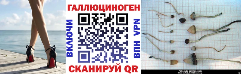 Галлюциногенные грибы MAGIC MUSHROOMS Верхний Уфалей