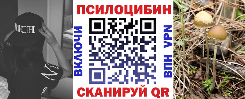 mega маркетплейс  Верхний Уфалей  Галлюциногенные грибы Psilocybe  закладка 